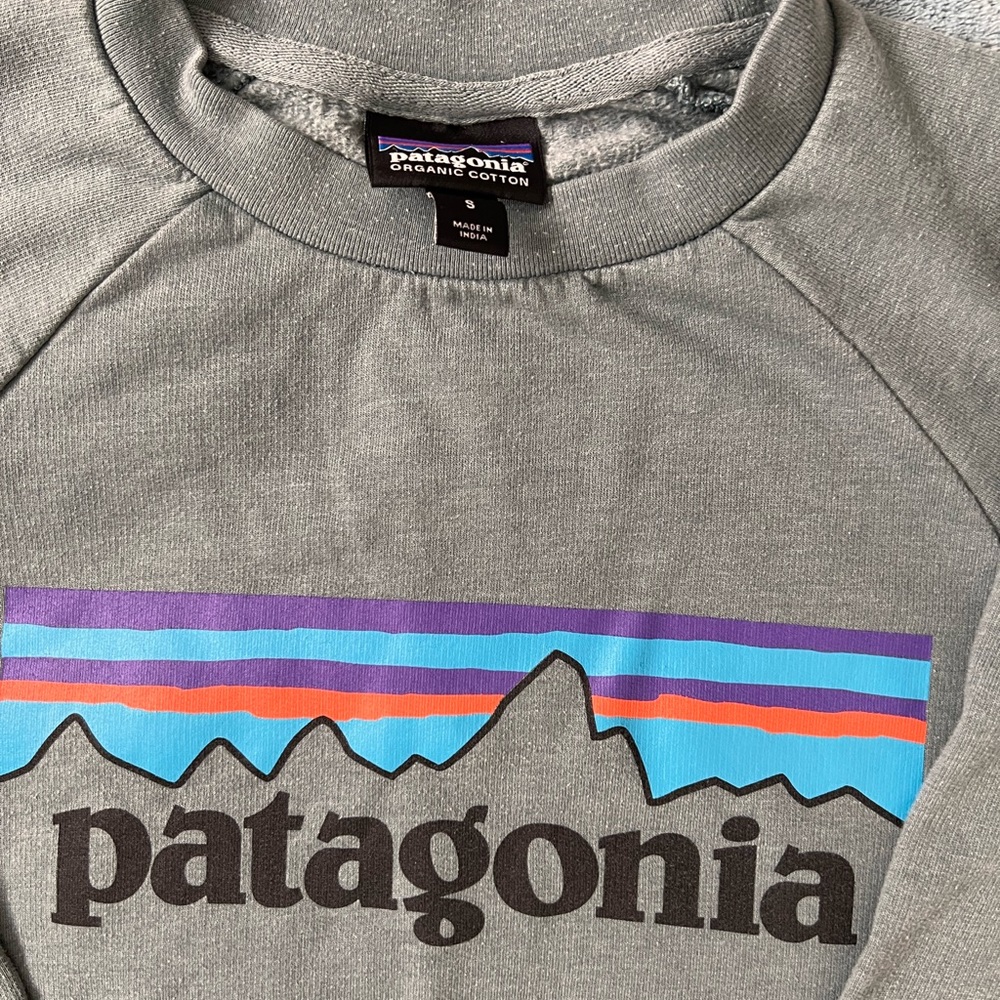 Patagonia sweatshirt Kid